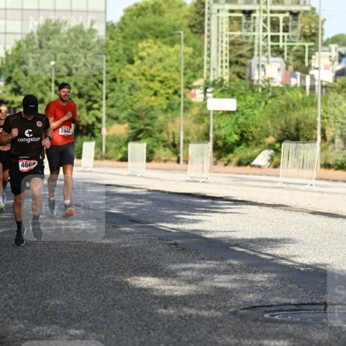 06.09.2026 - CURREX Alsterlauf Dr. Thomas Lammeyer http://msf.ph/oto/10124555 06.09.2026 09:41:47 Laufen 5529, 2442, 4669 meine-sportfotos.de