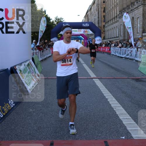 06.09.2026 - CURREX Alsterlauf Strokosch-Dieckow http://msf.ph/oto/10124577 06.09.2026 09:43:33 Ziel 3523, 3524, 3561, 3814, 4089, 4397, 4443, 4505, 5098, 5370, 5919, 6388, 8164, 8316 meine-sportfotos.de