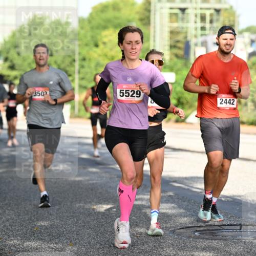 06.09.2026 - CURREX Alsterlauf Dr. Thomas Lammeyer http://msf.ph/oto/10124590 06.09.2026 09:41:51 Laufen 3502, 5529, 2442 meine-sportfotos.de