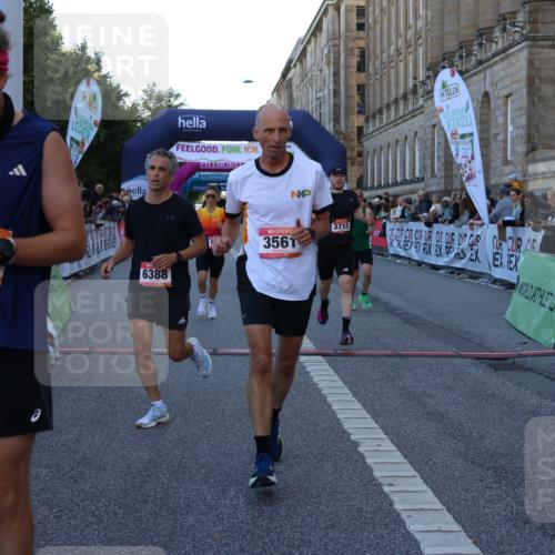 06.09.2026 - CURREX Alsterlauf Strokosch-Dieckow http://msf.ph/oto/10124634 06.09.2026 09:43:39 Ziel 2166, 2245, 3197, 3523, 3524, 3561, 3715, 5098, 5370, 6371, 6388, 8036, 8316 meine-sportfotos.de