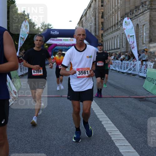 06.09.2026 - CURREX Alsterlauf Strokosch-Dieckow http://msf.ph/oto/10124654 06.09.2026 09:43:40 Ziel 2166, 2245, 3197, 3523, 3524, 3561, 3715, 5098, 5370, 6371, 6388, 8036, 8316 meine-sportfotos.de