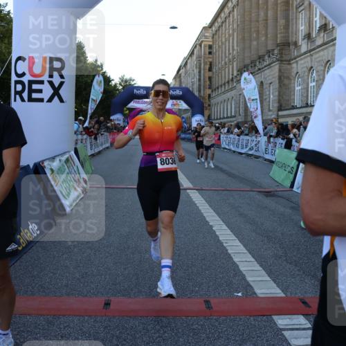 06.09.2026 - CURREX Alsterlauf Strokosch-Dieckow http://msf.ph/oto/10124660 06.09.2026 09:43:42 Ziel 2166, 2245, 2760, 3197, 3523, 3524, 3561, 3715, 4910, 5098, 6371, 6388, 8036, 8316 meine-sportfotos.de
