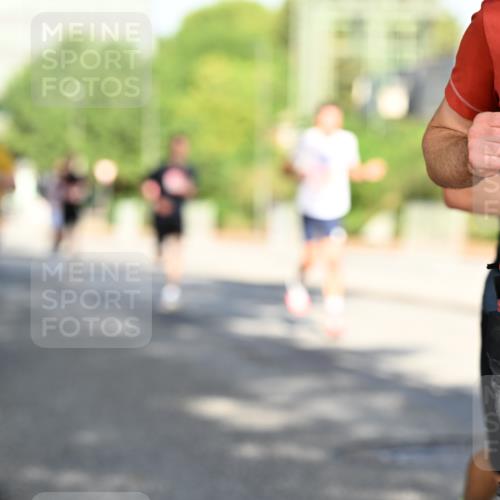 06.09.2026 - CURREX Alsterlauf Dr. Thomas Lammeyer http://msf.ph/oto/10124835 06.09.2026 09:42:18 Laufen 43 meine-sportfotos.de
