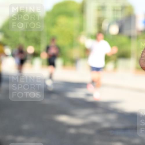06.09.2026 - CURREX Alsterlauf Dr. Thomas Lammeyer http://msf.ph/oto/10124836 06.09.2026 09:42:18 Laufen  meine-sportfotos.de