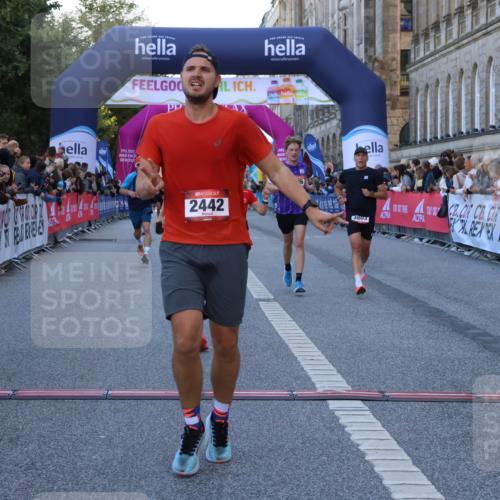 06.09.2026 - CURREX Alsterlauf Strokosch-Dieckow http://msf.ph/oto/10125246 06.09.2026 09:44:48 Ziel 2442, 2452, 2610, 3226, 3445, 3671, 3802, 3803, 4039, 5286, 6201, 8264 meine-sportfotos.de