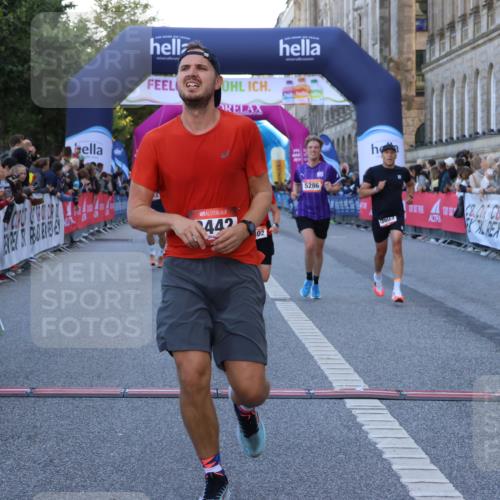 06.09.2026 - CURREX Alsterlauf Strokosch-Dieckow http://msf.ph/oto/10125265 06.09.2026 09:44:48 Ziel 2442, 2452, 2610, 3226, 3445, 3671, 3802, 3803, 4039, 5286, 6201, 8264 meine-sportfotos.de