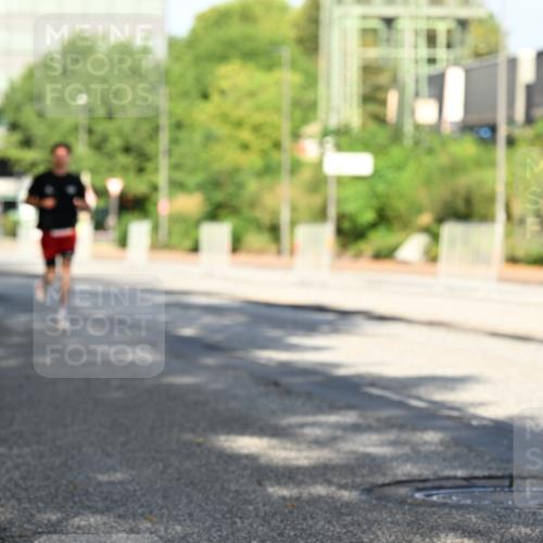 06.09.2026 - CURREX Alsterlauf Dr. Thomas Lammeyer http://msf.ph/oto/10125407 06.09.2026 09:43:16 Laufen 5906 meine-sportfotos.de