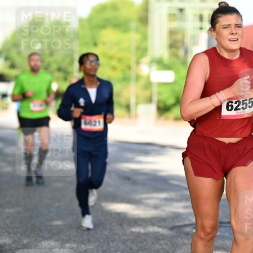 06.09.2026 - CURREX Alsterlauf Dr. Thomas Lammeyer http://msf.ph/oto/10125878 06.09.2026 09:44:07 Laufen 6021, 6255, 5877 meine-sportfotos.de