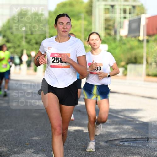 06.09.2026 - CURREX Alsterlauf Dr. Thomas Lammeyer http://msf.ph/oto/10125901 06.09.2026 09:44:11 Laufen 2563, 93 meine-sportfotos.de