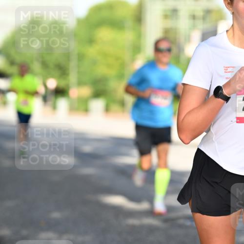06.09.2026 - CURREX Alsterlauf Dr. Thomas Lammeyer http://msf.ph/oto/10125912 06.09.2026 09:44:12 Laufen 2025, 2569 meine-sportfotos.de