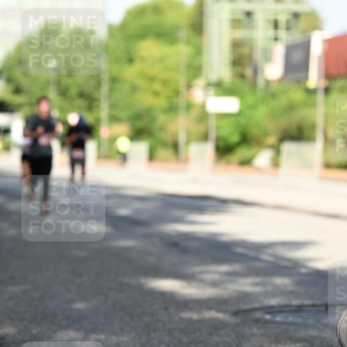 06.09.2026 - CURREX Alsterlauf Dr. Thomas Lammeyer http://msf.ph/oto/10125996 06.09.2026 09:44:20 Laufen  meine-sportfotos.de