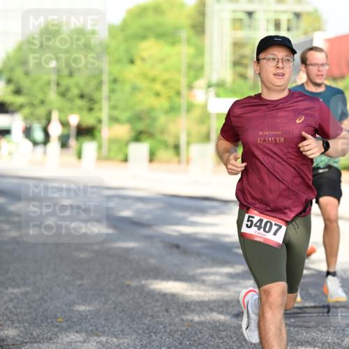 06.09.2026 - CURREX Alsterlauf Dr. Thomas Lammeyer http://msf.ph/oto/10126188 06.09.2026 09:44:41 Laufen 42, 195, 5407 meine-sportfotos.de