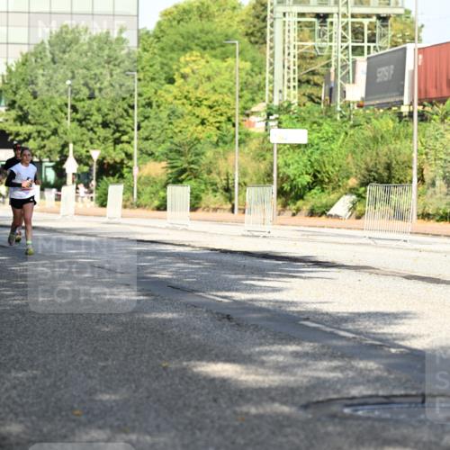 06.09.2026 - CURREX Alsterlauf Dr. Thomas Lammeyer http://msf.ph/oto/10126192 06.09.2026 09:44:42 Laufen 2759, 2850 meine-sportfotos.de