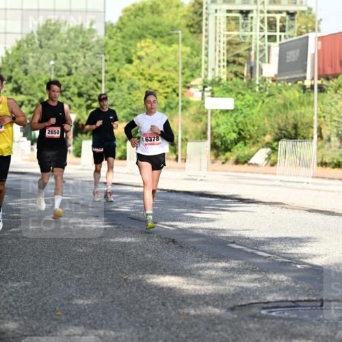 06.09.2026 - CURREX Alsterlauf Dr. Thomas Lammeyer http://msf.ph/oto/10126194 06.09.2026 09:44:46 Laufen 6226, 2759, 2850, 213, 6378 meine-sportfotos.de
