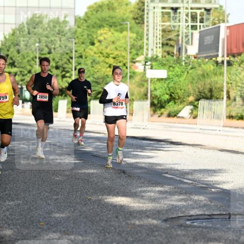06.09.2026 - CURREX Alsterlauf Dr. Thomas Lammeyer http://msf.ph/oto/10126196 06.09.2026 09:44:46 Laufen 6228, 2759, 2850, 6378 meine-sportfotos.de