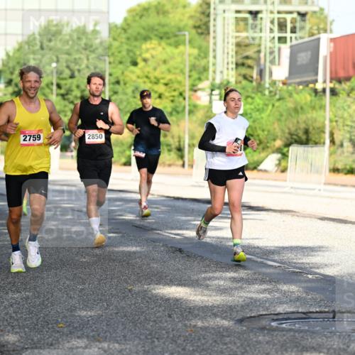 06.09.2026 - CURREX Alsterlauf Dr. Thomas Lammeyer http://msf.ph/oto/10126200 06.09.2026 09:44:47 Laufen 6228, 2759, 2850 meine-sportfotos.de
