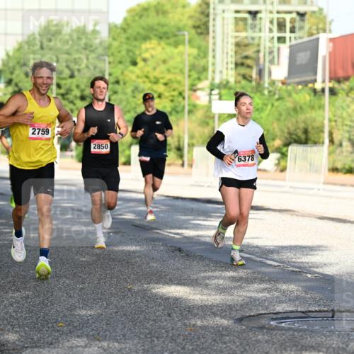 06.09.2026 - CURREX Alsterlauf Dr. Thomas Lammeyer http://msf.ph/oto/10126201 06.09.2026 09:44:47 Laufen 2759, 2850, 6378 meine-sportfotos.de