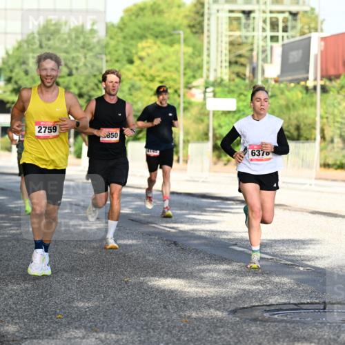06.09.2026 - CURREX Alsterlauf Dr. Thomas Lammeyer http://msf.ph/oto/10126204 06.09.2026 09:44:47 Laufen 2759, 850, 3143, 6370 meine-sportfotos.de