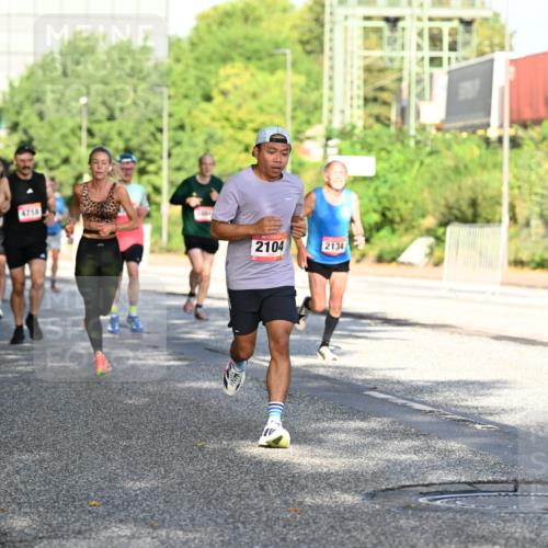 06.09.2026 - CURREX Alsterlauf Dr. Thomas Lammeyer http://msf.ph/oto/10126362 06.09.2026 09:45:08 Laufen 5316, 4718, 2104, 2134 meine-sportfotos.de