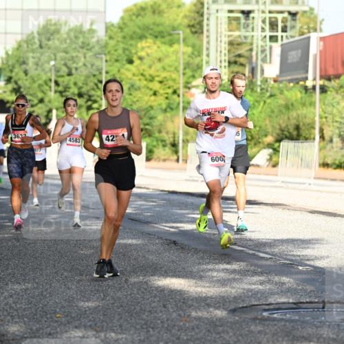 06.09.2026 - CURREX Alsterlauf Dr. Thomas Lammeyer http://msf.ph/oto/10126473 06.09.2026 09:45:23 Laufen 641, 3632, 4583, 42, 600, 5 meine-sportfotos.de
