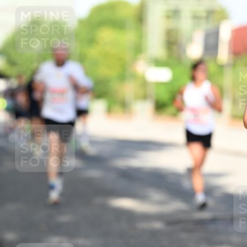 06.09.2026 - CURREX Alsterlauf Dr. Thomas Lammeyer http://msf.ph/oto/10126521 06.09.2026 09:45:28 Laufen  meine-sportfotos.de