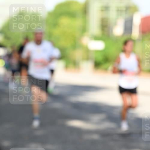 06.09.2026 - CURREX Alsterlauf Dr. Thomas Lammeyer http://msf.ph/oto/10126524 06.09.2026 09:45:28 Laufen  meine-sportfotos.de