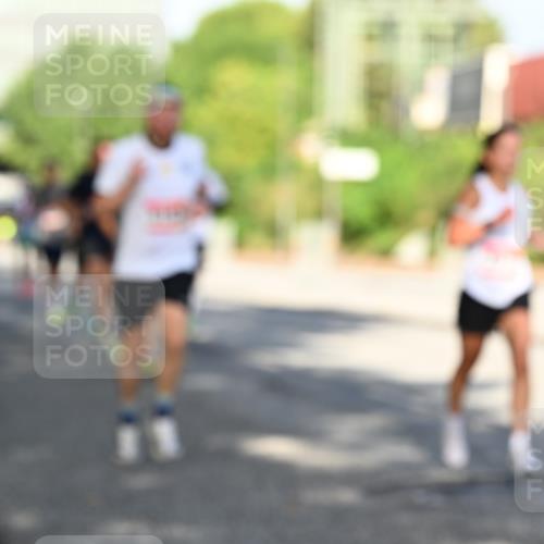 06.09.2026 - CURREX Alsterlauf Dr. Thomas Lammeyer http://msf.ph/oto/10126525 06.09.2026 09:45:28 Laufen  meine-sportfotos.de