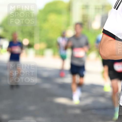 06.09.2026 - CURREX Alsterlauf Dr. Thomas Lammeyer http://msf.ph/oto/10126566 06.09.2026 09:45:33 Laufen  meine-sportfotos.de