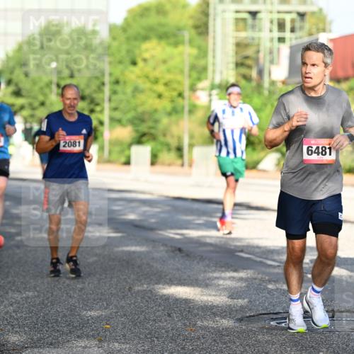 06.09.2026 - CURREX Alsterlauf Dr. Thomas Lammeyer http://msf.ph/oto/10126571 06.09.2026 09:45:33 Laufen 5245, 2081, 6481 meine-sportfotos.de