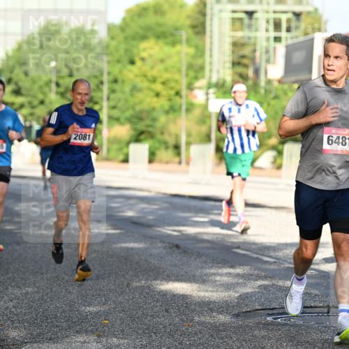 06.09.2026 - CURREX Alsterlauf Dr. Thomas Lammeyer http://msf.ph/oto/10126573 06.09.2026 09:45:34 Laufen 2081, 5245, 6481 meine-sportfotos.de