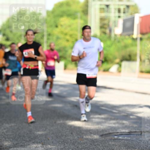 06.09.2026 - CURREX Alsterlauf Dr. Thomas Lammeyer http://msf.ph/oto/10126644 06.09.2026 09:45:41 Laufen  meine-sportfotos.de