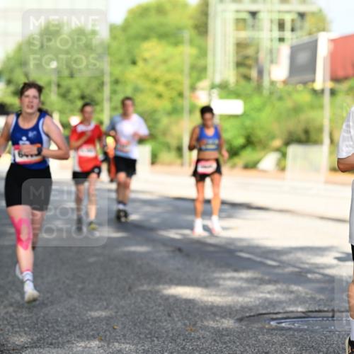 06.09.2026 - CURREX Alsterlauf Dr. Thomas Lammeyer http://msf.ph/oto/10126911 06.09.2026 09:46:10 Laufen 6041 meine-sportfotos.de