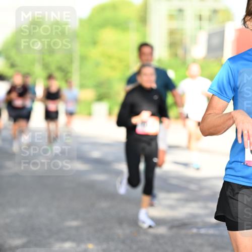 06.09.2026 - CURREX Alsterlauf Dr. Thomas Lammeyer http://msf.ph/oto/10127069 06.09.2026 09:46:28 Laufen 6035 meine-sportfotos.de