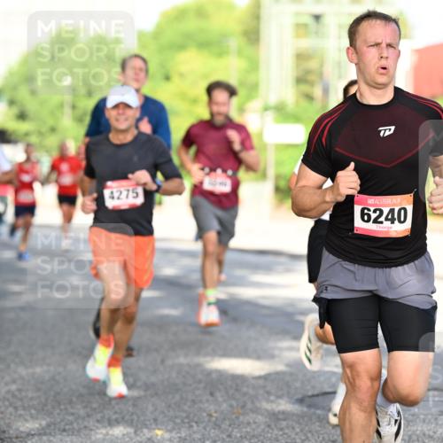 06.09.2026 - CURREX Alsterlauf Dr. Thomas Lammeyer http://msf.ph/oto/10127112 06.09.2026 09:46:34 Laufen 4275, 6240 meine-sportfotos.de