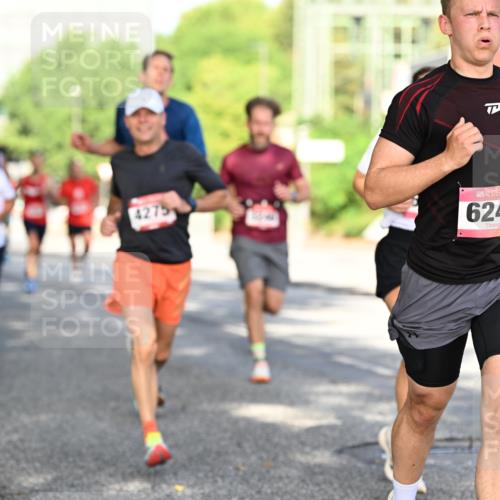 06.09.2026 - CURREX Alsterlauf Dr. Thomas Lammeyer http://msf.ph/oto/10127114 06.09.2026 09:46:34 Laufen 4275, 6240, 11 meine-sportfotos.de