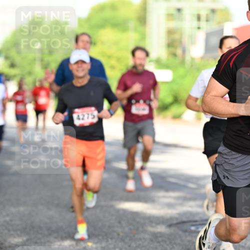 06.09.2026 - CURREX Alsterlauf Dr. Thomas Lammeyer http://msf.ph/oto/10127115 06.09.2026 09:46:34 Laufen 4275, 6240, 11 meine-sportfotos.de