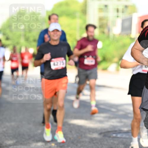 06.09.2026 - CURREX Alsterlauf Dr. Thomas Lammeyer http://msf.ph/oto/10127116 06.09.2026 09:46:34 Laufen 4275, 6240 meine-sportfotos.de