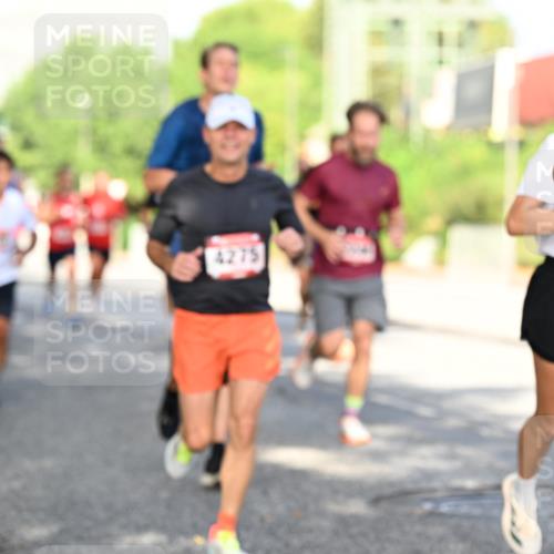 06.09.2026 - CURREX Alsterlauf Dr. Thomas Lammeyer http://msf.ph/oto/10127117 06.09.2026 09:46:35 Laufen 4275, 62 meine-sportfotos.de