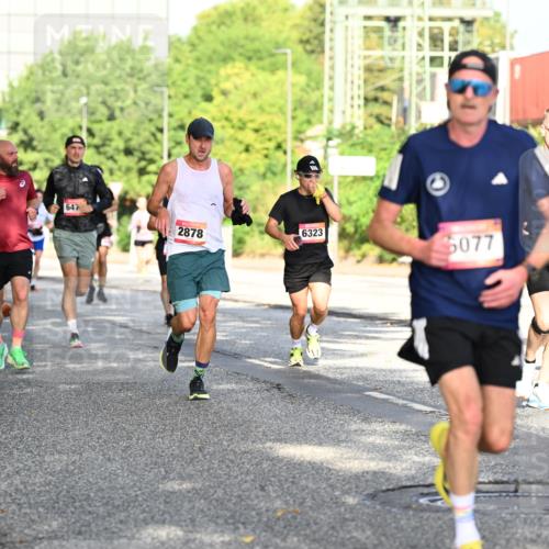 06.09.2026 - CURREX Alsterlauf Dr. Thomas Lammeyer http://msf.ph/oto/10127375 06.09.2026 09:47:00 Laufen 647, 2878, 6323, 5077, 61, 6 meine-sportfotos.de
