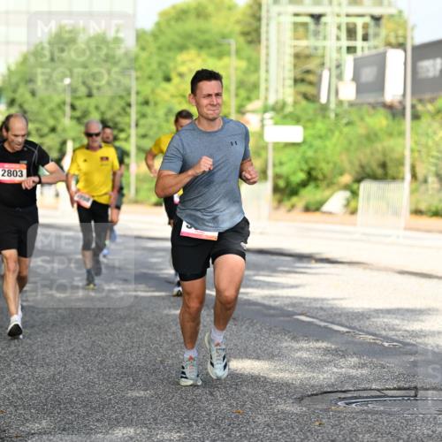 06.09.2026 - CURREX Alsterlauf Dr. Thomas Lammeyer http://msf.ph/oto/10127641 06.09.2026 09:47:30 Laufen 2803 meine-sportfotos.de