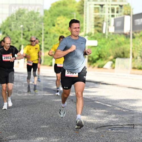 06.09.2026 - CURREX Alsterlauf Dr. Thomas Lammeyer http://msf.ph/oto/10127643 06.09.2026 09:47:30 Laufen 2803, 59 meine-sportfotos.de