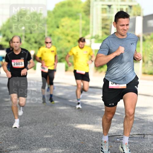 06.09.2026 - CURREX Alsterlauf Dr. Thomas Lammeyer http://msf.ph/oto/10127650 06.09.2026 09:47:31 Laufen 2803 meine-sportfotos.de