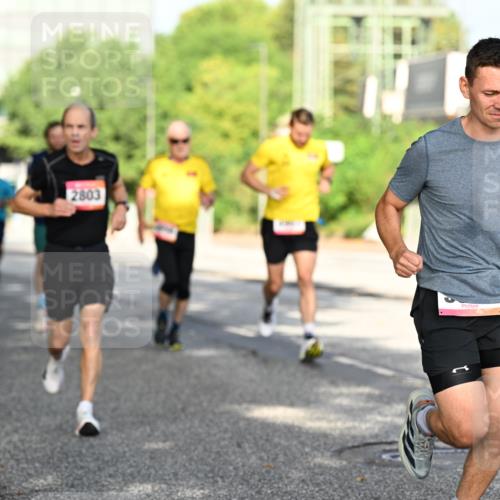 06.09.2026 - CURREX Alsterlauf Dr. Thomas Lammeyer http://msf.ph/oto/10127652 06.09.2026 09:47:31 Laufen 2803 meine-sportfotos.de
