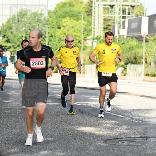 06.09.2026 - CURREX Alsterlauf Dr. Thomas Lammeyer http://msf.ph/oto/10127657 06.09.2026 09:47:32 Laufen 8160, 594, 2803, 1998, 5714, 8, 4531 meine-sportfotos.de