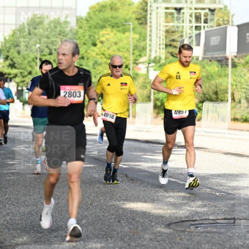 06.09.2026 - CURREX Alsterlauf Dr. Thomas Lammeyer http://msf.ph/oto/10127658 06.09.2026 09:47:32 Laufen 8160, 2803, 5714, 4998, 4997 meine-sportfotos.de