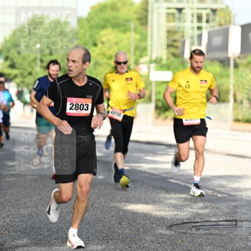 06.09.2026 - CURREX Alsterlauf Dr. Thomas Lammeyer http://msf.ph/oto/10127659 06.09.2026 09:47:32 Laufen 96, 2803, 4998 meine-sportfotos.de