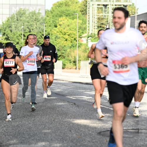 06.09.2026 - CURREX Alsterlauf Dr. Thomas Lammeyer http://msf.ph/oto/10127719 06.09.2026 09:47:40 Laufen 4371, 8277, 3468, 3279, 5365, 34 meine-sportfotos.de