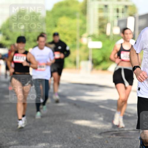 06.09.2026 - CURREX Alsterlauf Dr. Thomas Lammeyer http://msf.ph/oto/10127725 06.09.2026 09:47:41 Laufen 5365 meine-sportfotos.de
