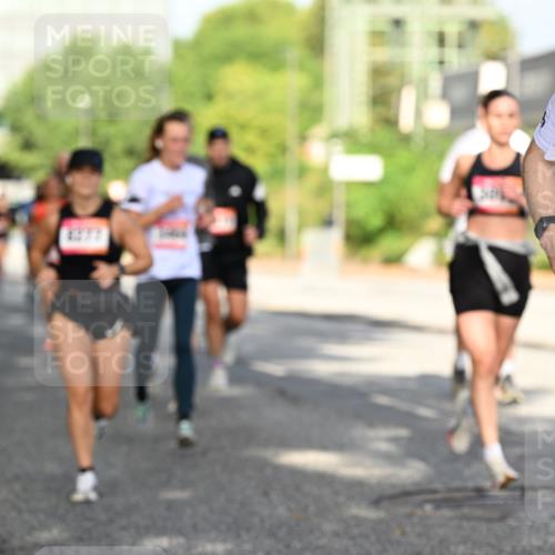 06.09.2026 - CURREX Alsterlauf Dr. Thomas Lammeyer http://msf.ph/oto/10127726 06.09.2026 09:47:41 Laufen 4277, 5365 meine-sportfotos.de