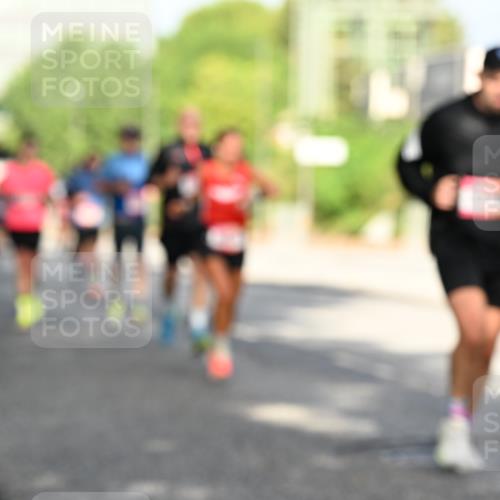 06.09.2026 - CURREX Alsterlauf Dr. Thomas Lammeyer http://msf.ph/oto/10127750 06.09.2026 09:47:44 Laufen  meine-sportfotos.de